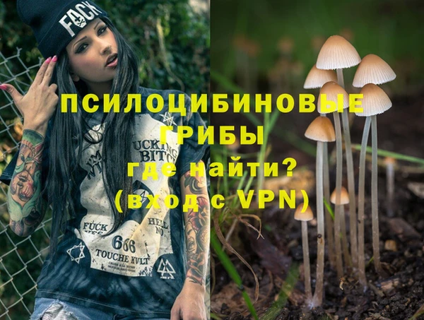 гидра Абинск