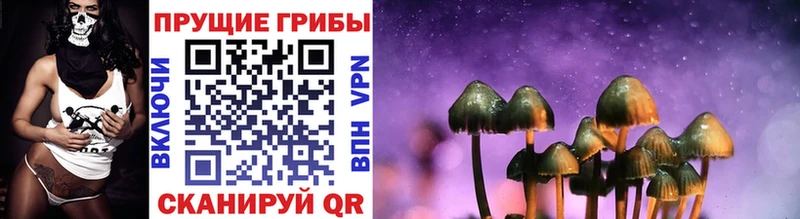 Галлюциногенные грибы Psilocybine cubensis  Комсомольск-на-Амуре 